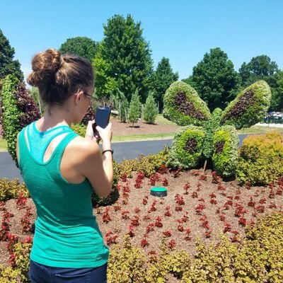 Profile Picture of Stephanie Wilhelm (@Stephan17909038) on Twitter