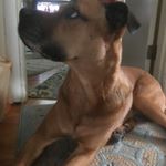 Profile Picture of Myra Meyer (@myra.meyer.1) on Instagram