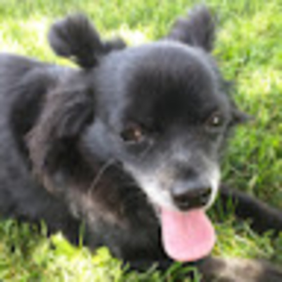 Profile Picture of Sarah Bortt (@sarahbortt) on Poshmark