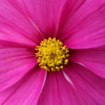 Profile Picture of Matthew Mcduff (@Matthew_Mcduff) on Twitter