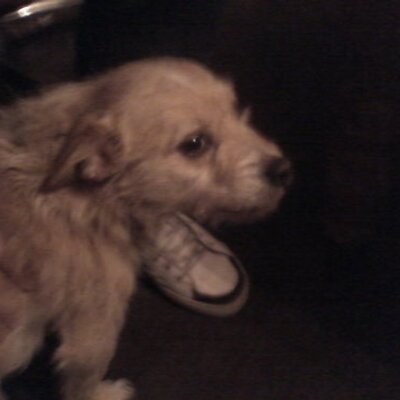 Profile Picture of Robin Röder (@robinroeder182) on Twitter