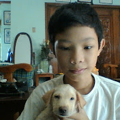 Profile Picture of Joseph Ariola (@josephariola8204) on Youtube