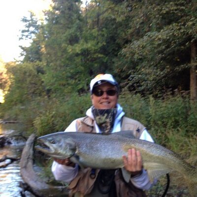 Profile Picture of Penny Campbell (@campvols) on Twitter