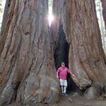 Profile Picture of John T Cecil (@ncforester) on Instagram