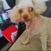Profile Picture of Priscilla Reid (@priscilla.reid.3591) on Facebook