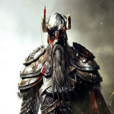 Profile Picture of Redneckviking (@MatthewOster4) on Twitter