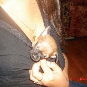 Profile Picture of Pam Diaz (@0o0oh_0o0oh_is_pam) on Myspace