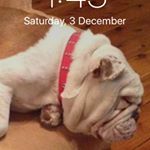 Profile Picture of Kevin Koopman (@koopman_kevin) on Instagram
