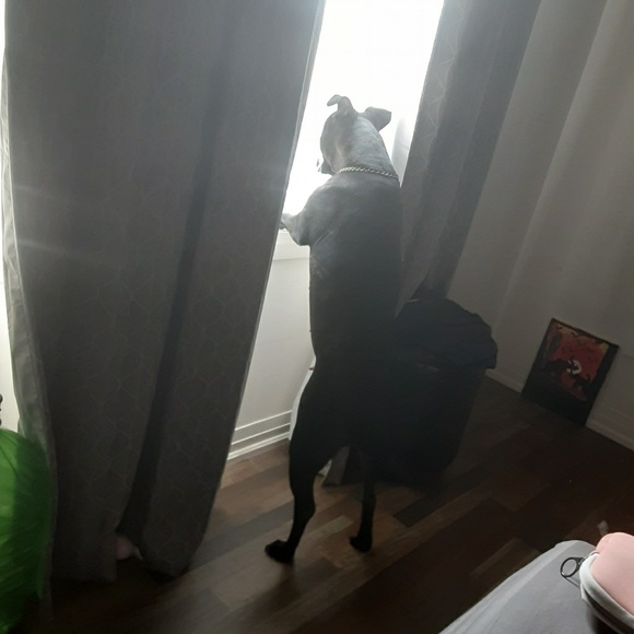 Profile Picture of Ray Ray (@rayray218) on Poshmark