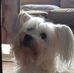 Profile Picture of Glenn Craig (@glenn.craig.58) on Facebook
