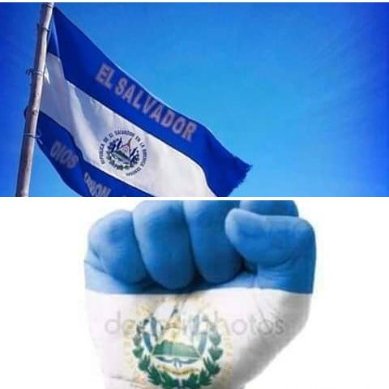 Profile Picture of Servando Romero (@ServandoRomer17) on Twitter