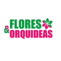 Profile Picture of Flores e Orquideas - Dicas de Jardinagem (@floreseorquideas) on Pinterest