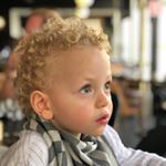 Profile Picture of aaron melamed (@melamedaaron) on Instagram