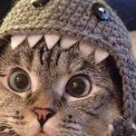 Profile Picture of James Staigers (@qfireball24) on Instagram