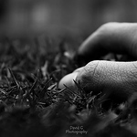 Profile Picture of David Gomez (@david gomez fotografía) on Flickr