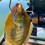 Profile Picture of Tommy Thomason (@teaglet1) on Instagram