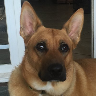 Profile Picture of Bob Ingalls (@BobIngalls3) on Twitter