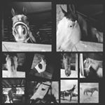 Profile Picture of martypazzy (@marty.pazzy) on Instagram