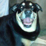 Profile Picture of Biff Jones (@biffthehuman) on Instagram