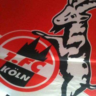 Profile Picture of Tim Collet (@TimCollet22) on Twitter