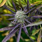 Profile Picture of Jimmy (@jones_jay43) on Instagram