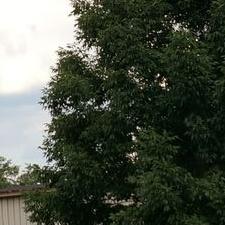 Profile Picture of Brianna Gannon (@breegannon8) on Twitter