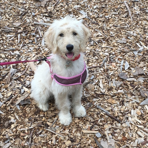 Profile Picture of Grace Machalec (@mav_12) on Poshmark