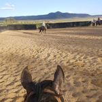 Profile Picture of Sid Marshall (@sid.marshall.56) on Instagram