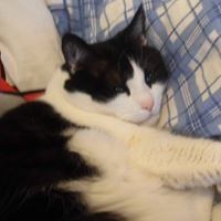 Profile Picture of Lilith Foresta (@lilithforesta) on Pinterest