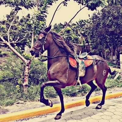 Profile Picture of Alex_IgUardia:D (@@Alexander_dice) on Twitter