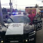 Profile Picture of Schefer Damian (@scheferdamian) on Instagram