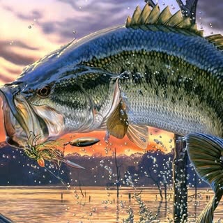 Profile Picture of Jacob Snodgrass (@snodgrass_jacob) on Instagram