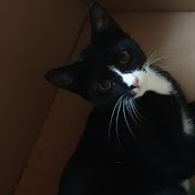 Profile Picture of Lacey Clayton (@LaceyClayton) on Youtube