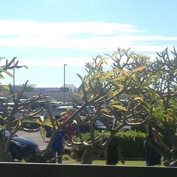 Profile Picture of Michelle Trail (@mtrail) on Poshmark