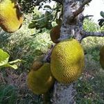 Profile Picture of itsuko takazato (@itsukotakazato) on Instagram