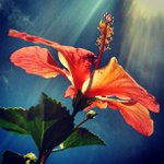 Profile Picture of Michael Rabideau (@muchnorand) on Instagram