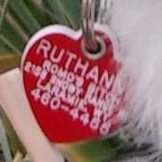 Profile Picture of David Monjaras (@monjo.wyo) on Facebook