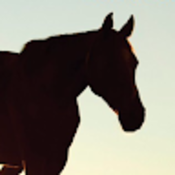 Profile Picture of Tina Keogh (@tinakeogh) on Poshmark