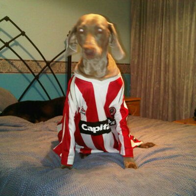 Profile Picture of Mark Leng (@Sparkyblade1970) on Twitter