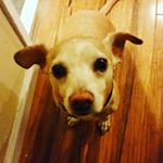 Profile Picture of Michael Heath (@rusty.snails) on Instagram