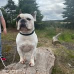 Profile Picture of Paul Clift (@Paul-Clift) on Facebook