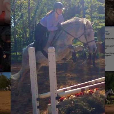 Profile Photo of Meghan Hodges ‘21 (@mthequestrian) on Twitter