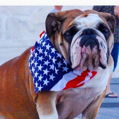 Profile Picture of Jimmy Mcgraw (@jimmybr2) on Twitter