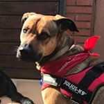 Profile Picture of Àlex Bartolomé Domènech (@alex.n.bart) on Instagram