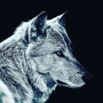 Profile Picture of Michael (@klare20017) on Instagram