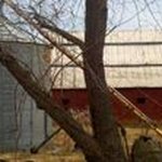 Profile Picture of Ginger Morrow (@morrowginger) on Instagram