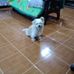 Profile Picture of Thomas O Donnell (@thomas.odonnell.33633) on Facebook