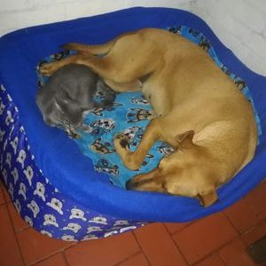 Profile Picture of Jhon James Mendez Murcia (@JhonJamesMende1) on Twitter