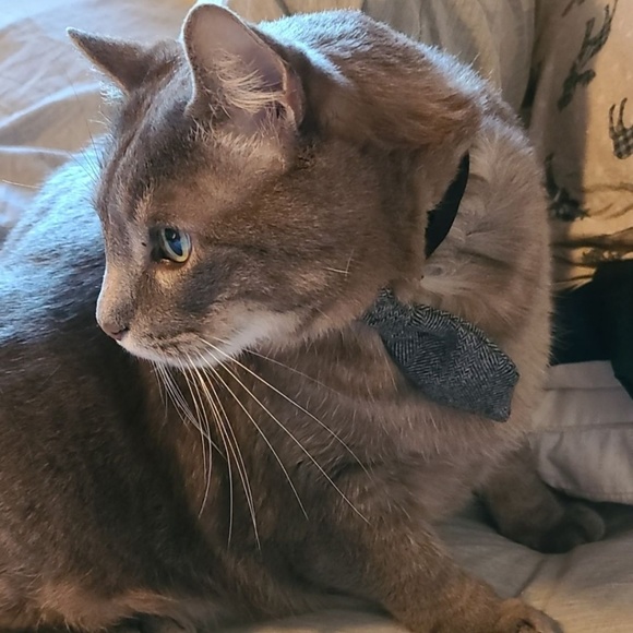 Profile Picture of Caleb Monroe (@crm666) on Poshmark