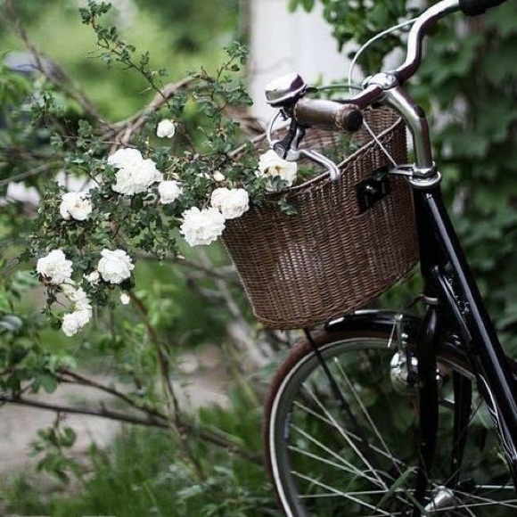 Profile Picture of Marni Carfley (@mcarfley1) on Poshmark